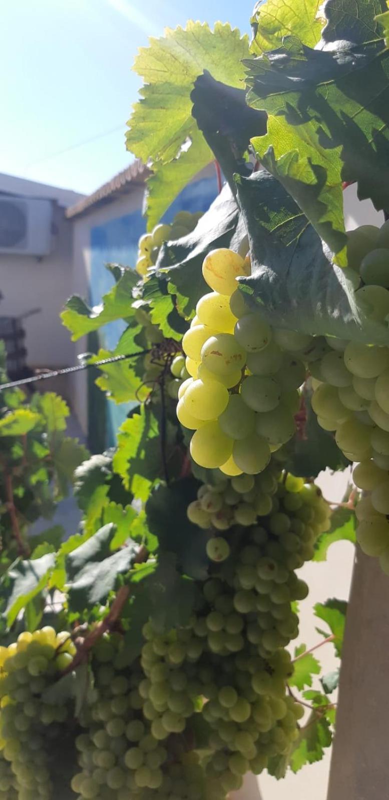 마르자메미 Casa Le Gebbie 빌라 외부 사진