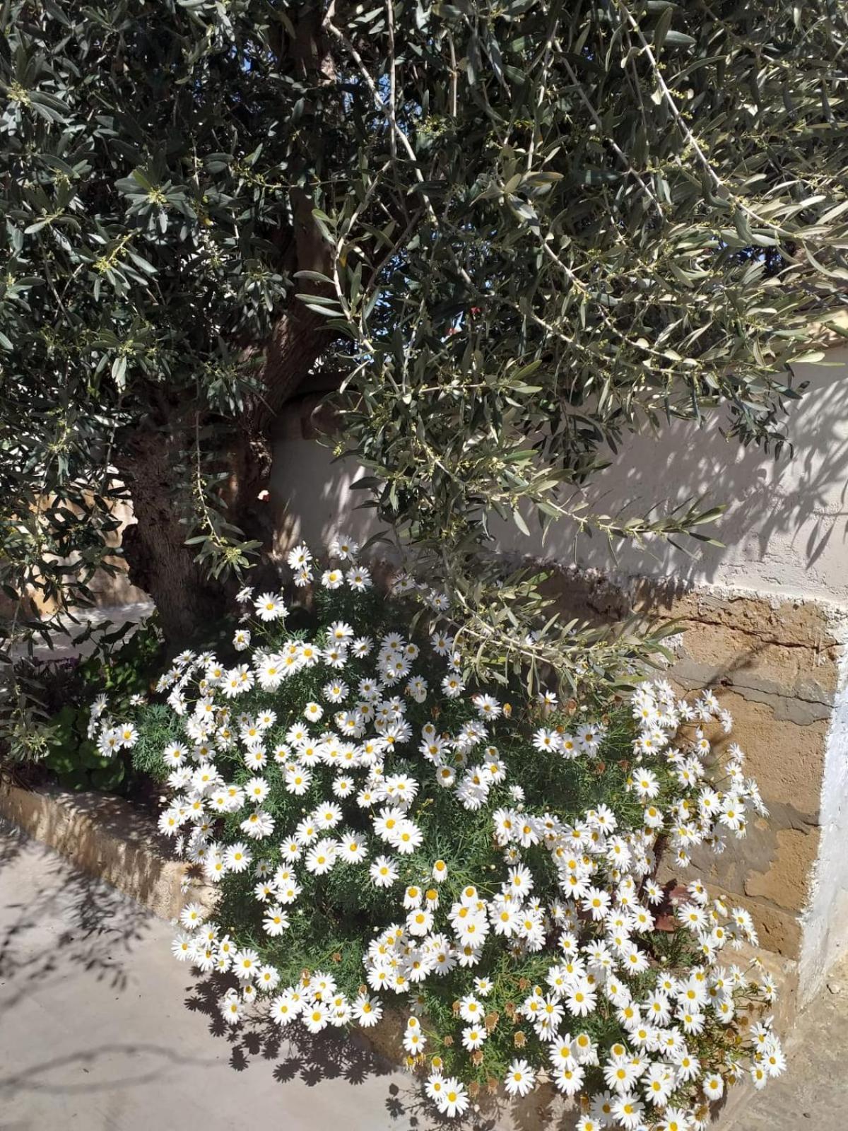 마르자메미 Casa Le Gebbie 빌라 외부 사진