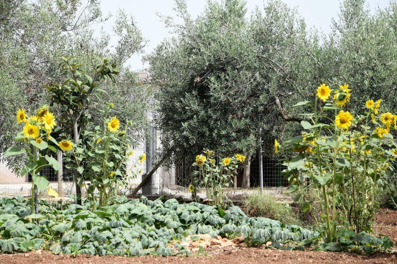 마르자메미 Casa Le Gebbie 빌라 외부 사진